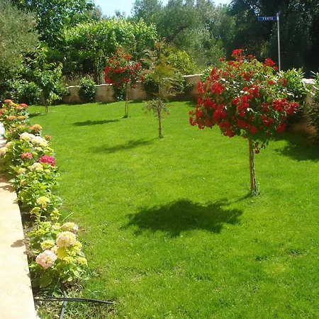 Apartament Apartman